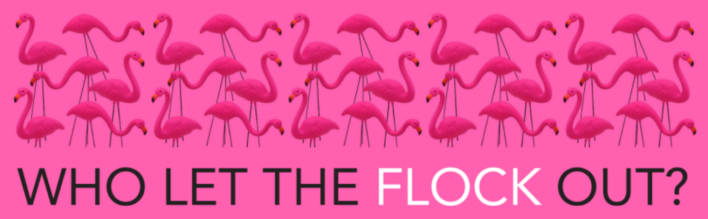 Bright pink box with a flock of flamingos and text saying Who Let the Flock Out?