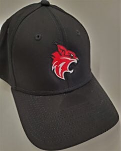 Black cap with Lynx head logo